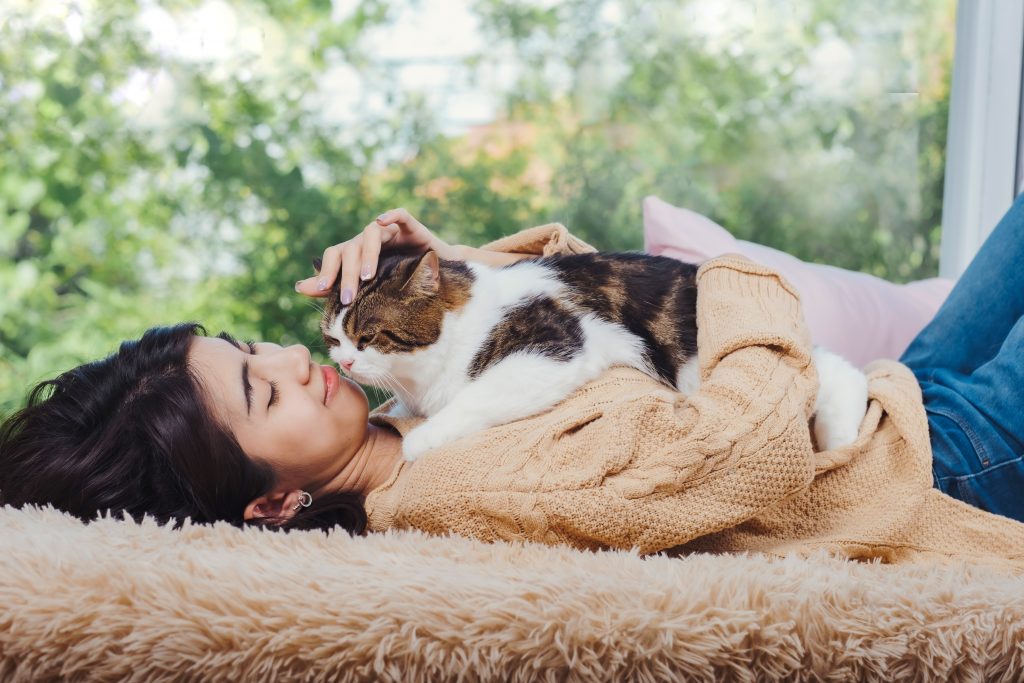 猫咪睡在我胸口的精神意义