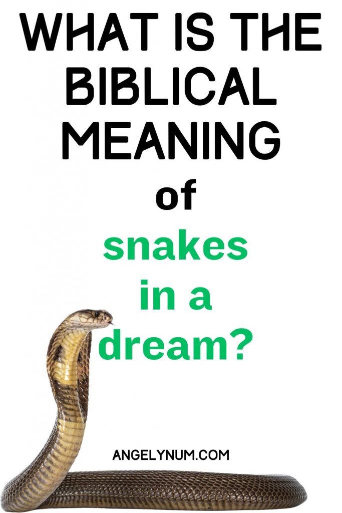 what is the biblical meaning of snakes in a dream