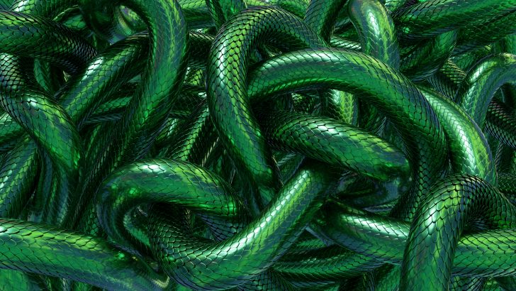 What Is The Biblical Meaning Of Snakes In A Dream?