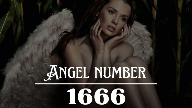 Significado do número de anjo 1666: Com amor e carinho