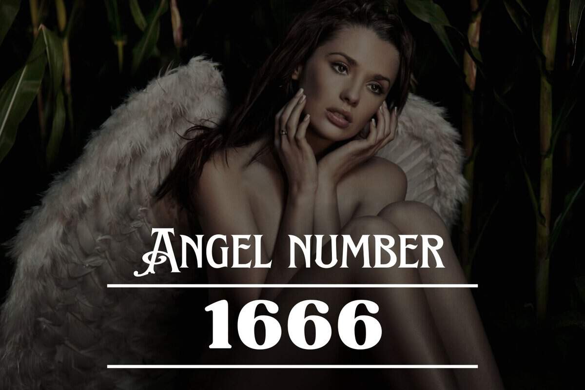angel-number-1666