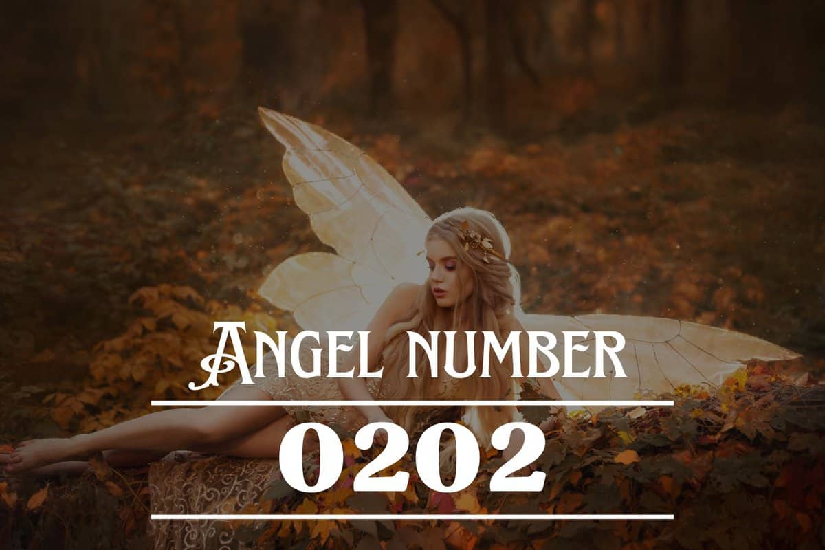 número-ángel-0202