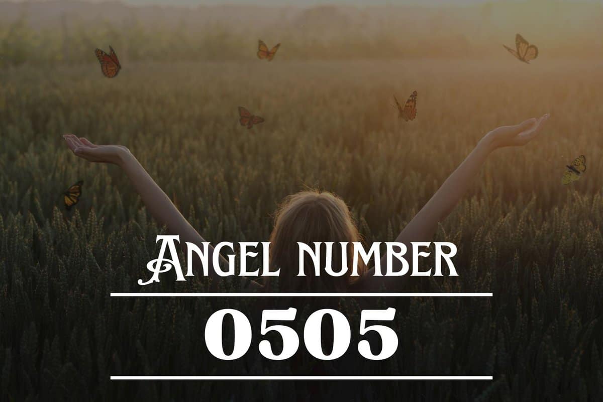 número-de-ángel-0505