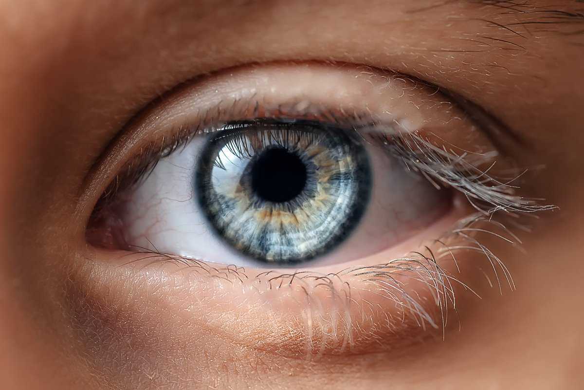 olhos azuis-iris