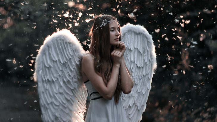 Earth Angel: Everything You Need to Know