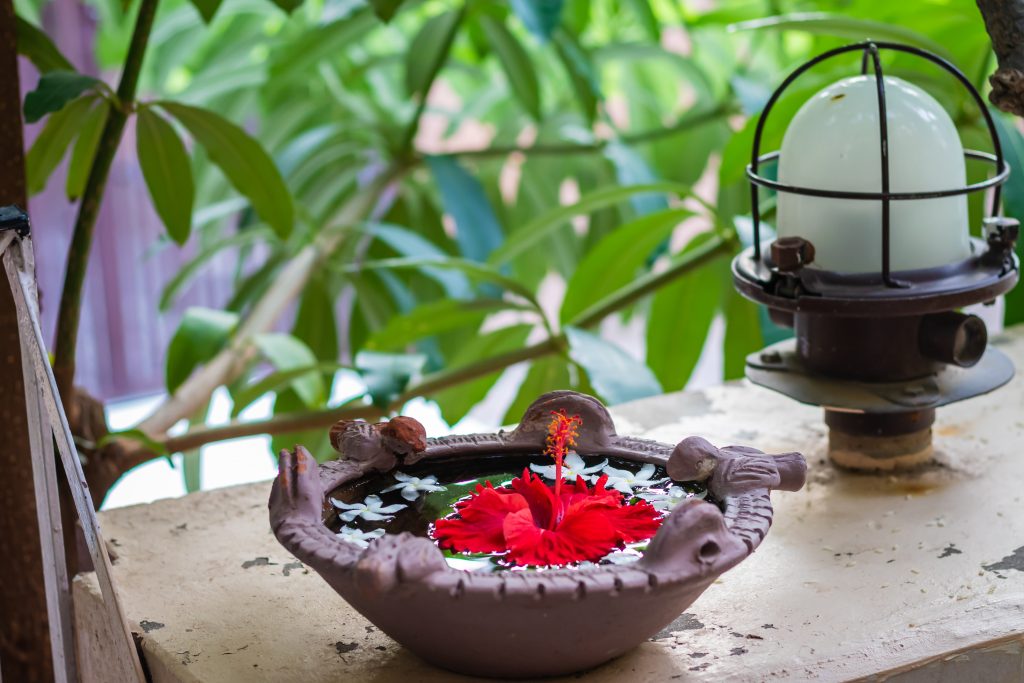 hibiscus-magickal-properties