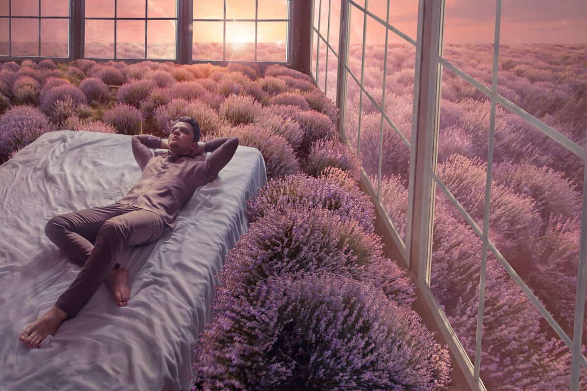 spiritual-meaning-of-lavender-the-greatest-power