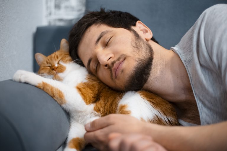 cat-sleeping-above-my-head-meaning-spiritual