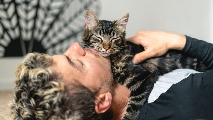 The Spiritual Meaning of a Pet Cat Sleeping On Your Chest