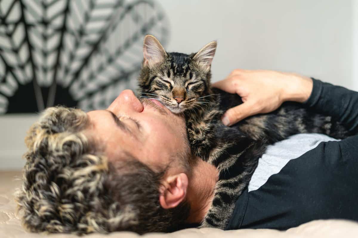 猫咪睡在我胸口的精神意义