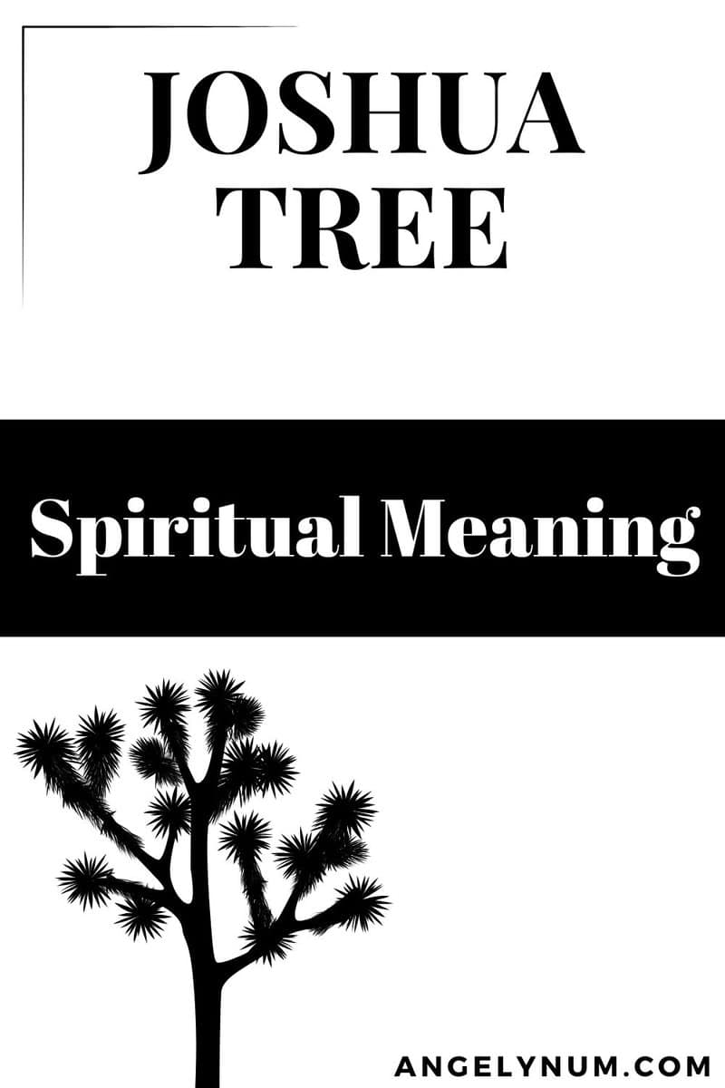 Joshua Tree Spiritual Meaning