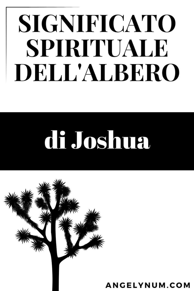 Sentire Odore Di Alcool Significato Spirituale Significato spirituale dell'albero di Joshua