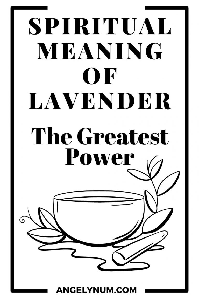 the-spiritual-meaning-of-lavender-sara-monk
