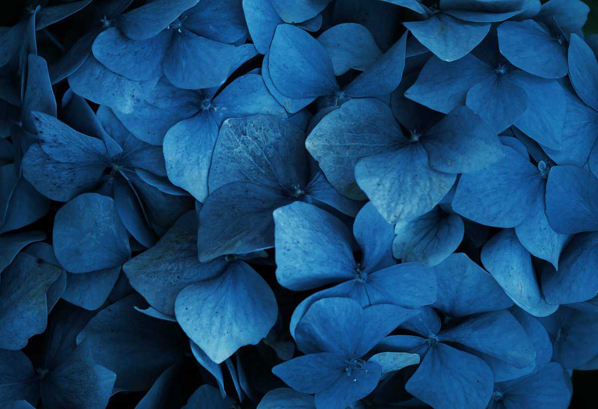 spiritual-meaning-blue