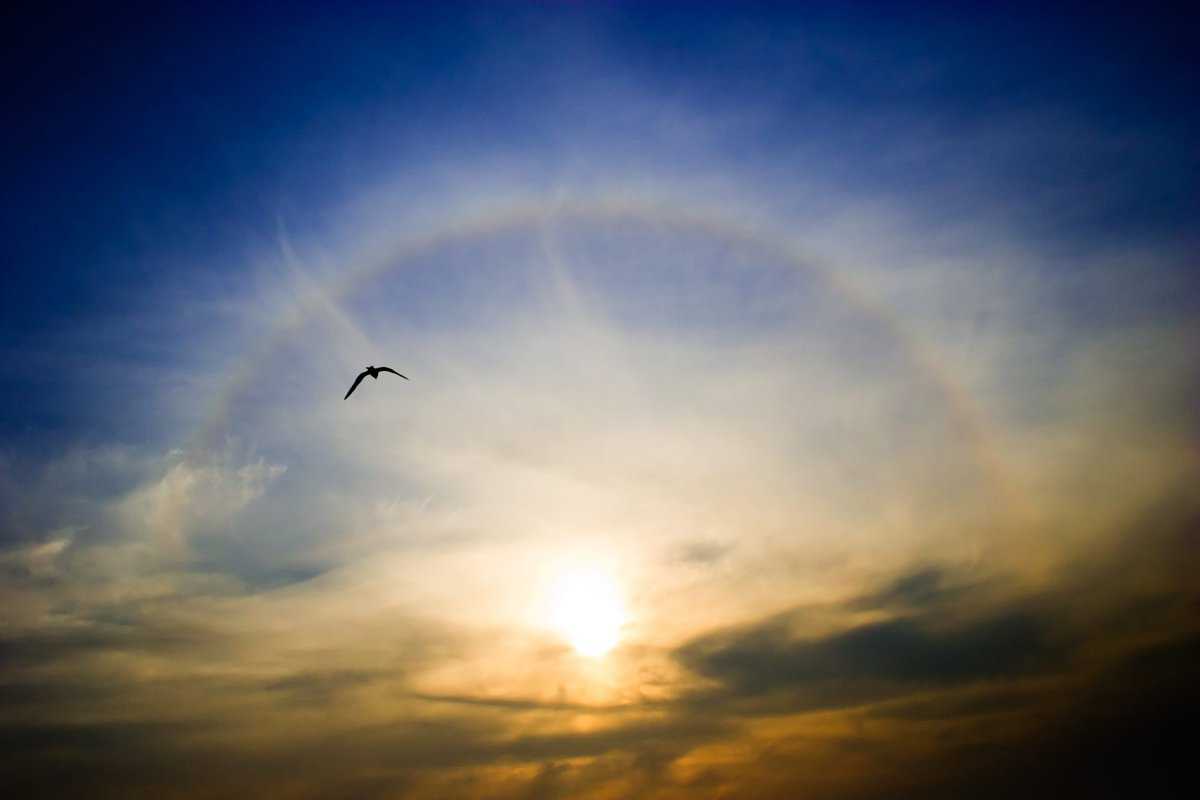 arco-íris à volta do sol