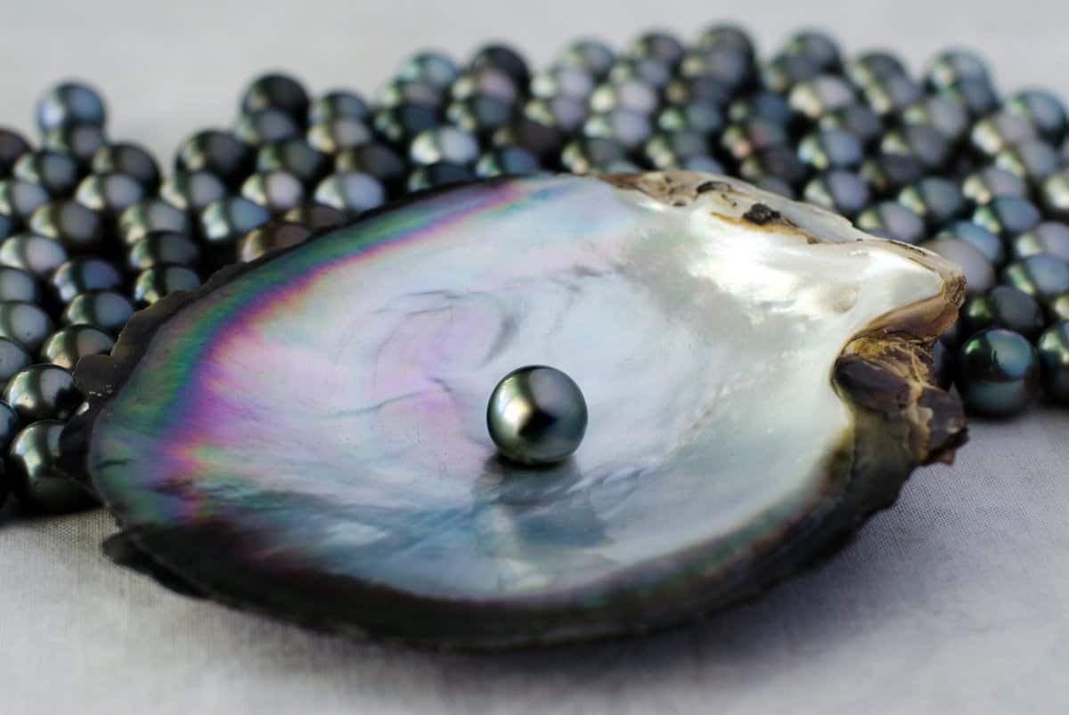 black-pearl-meaning