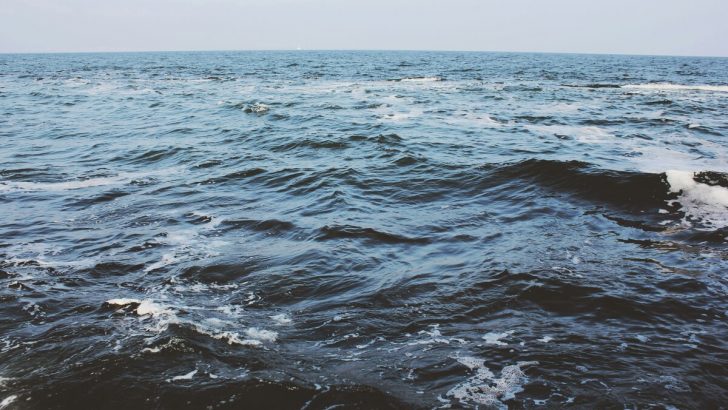 Understanding Your Element: Water Signs of the Zodiac