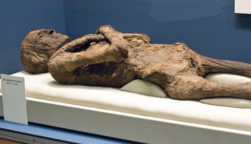 Preserving Bodies for the Afterlife Journey