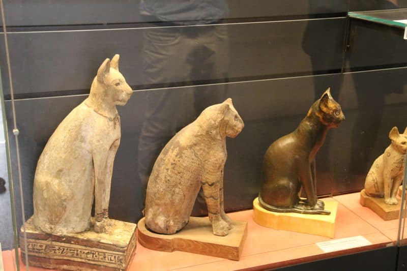 Sacred Cats That Outranked Humans