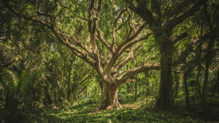 10 Cultural Beliefs That Defy Western Logic