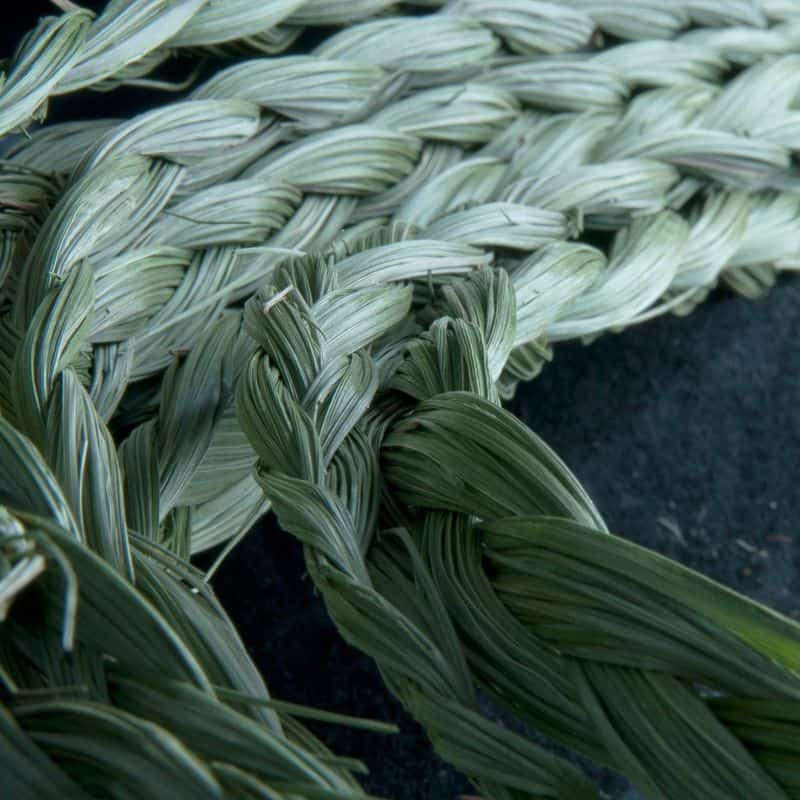 Sweetgrass: The Fragrant Bridge to Heaven
