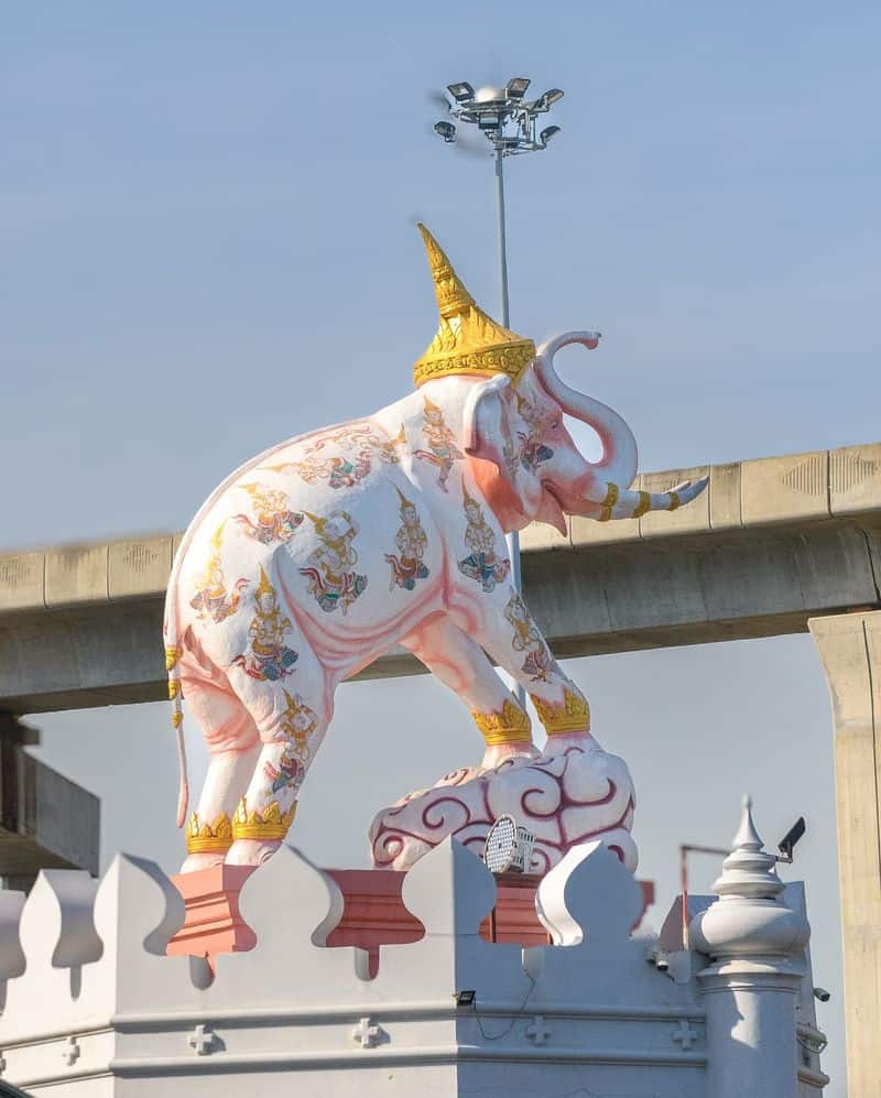 Elephants: Thailand's Gentle Giants
