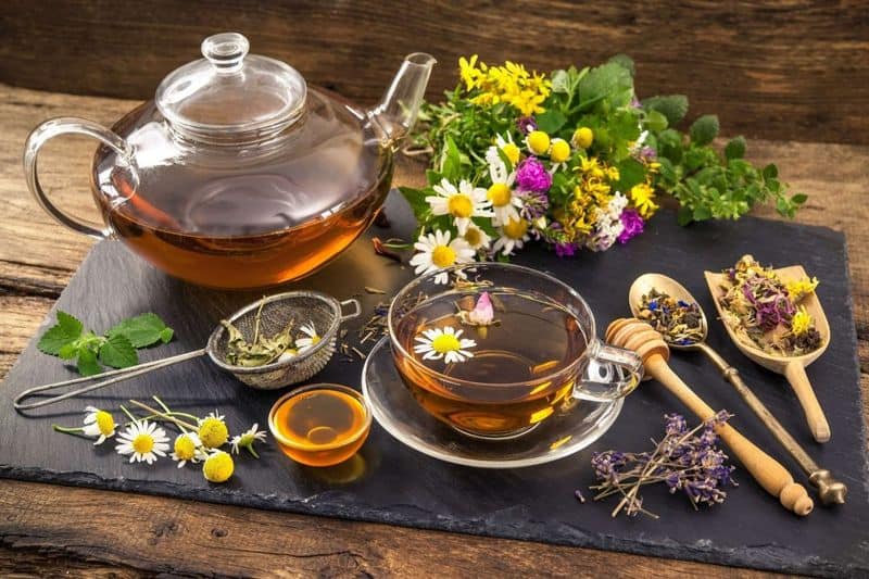 Chamomile: Not Just Your Grandma's Bedtime Tea