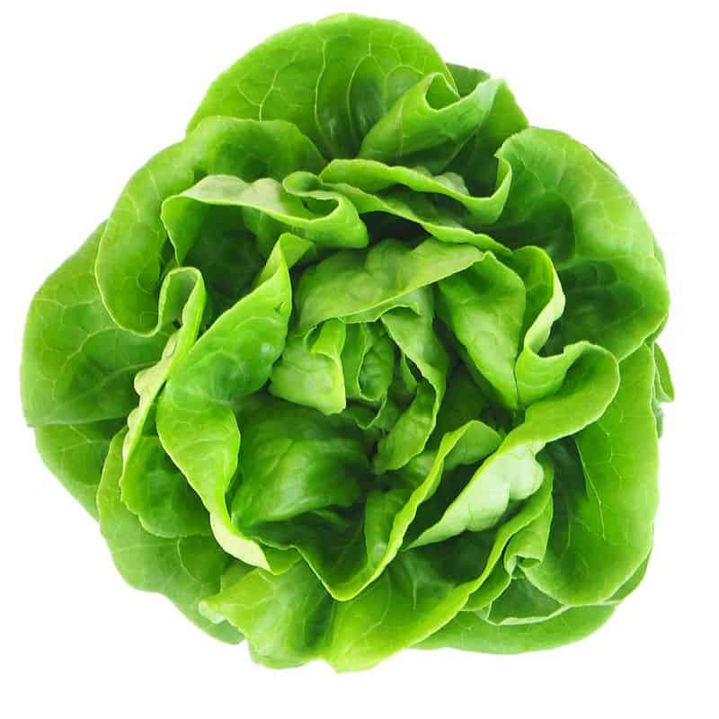 Enlightening Leafy Greens