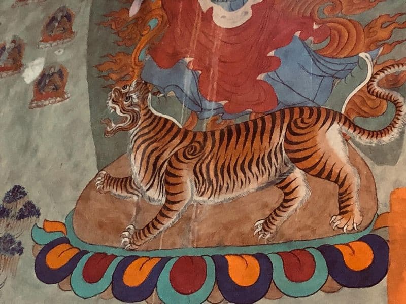 Tigers: China's Striped Guardians