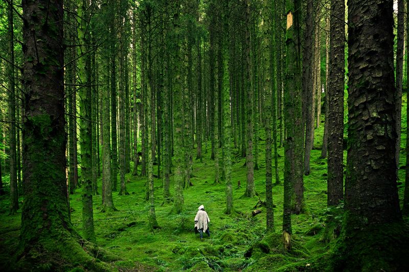 Green Devotees: Nature's Balanced Souls