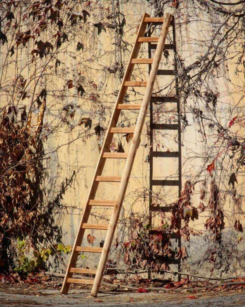 Ladders Are Doorways to Doom