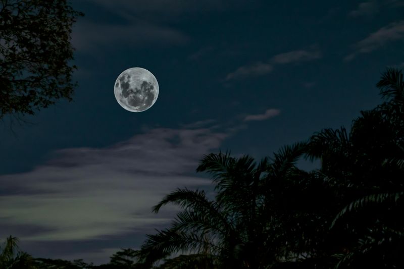 Moon: Your Emotional Control Center