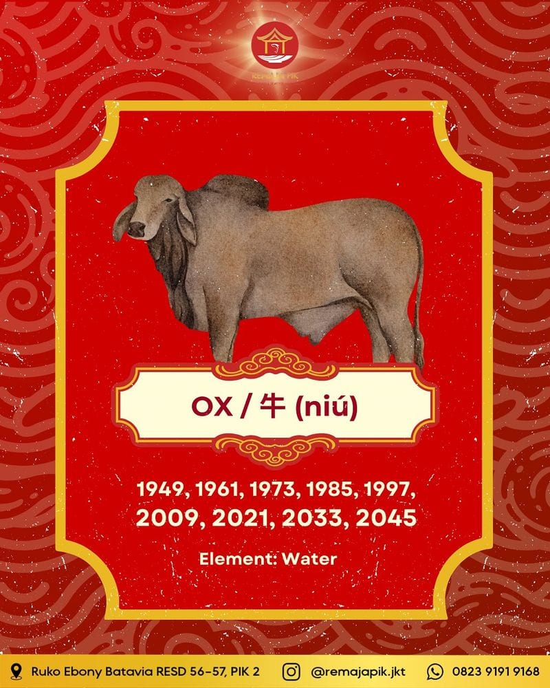 Ox: The Determined Powerhouse (1925, 1937, 1949, 1961, 1973, 1985, 1997, 2009, 2021)