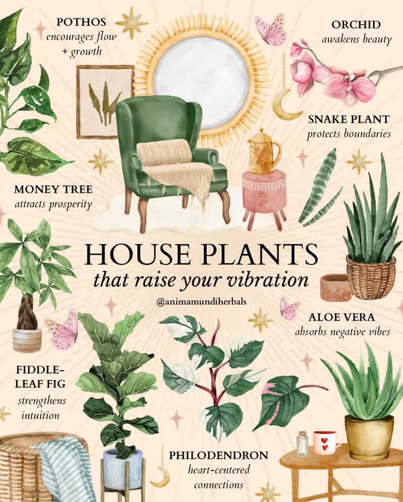 Plant Guardians: Green Defenders Against Gloom