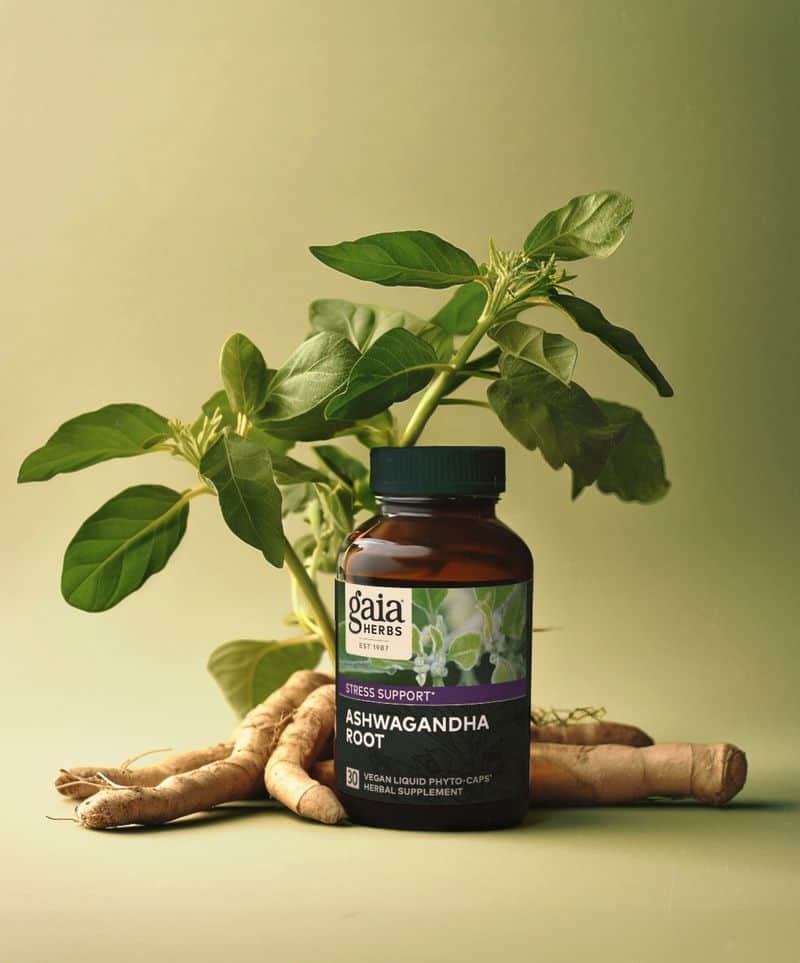 Ashwagandha: The Chill-Out Champion