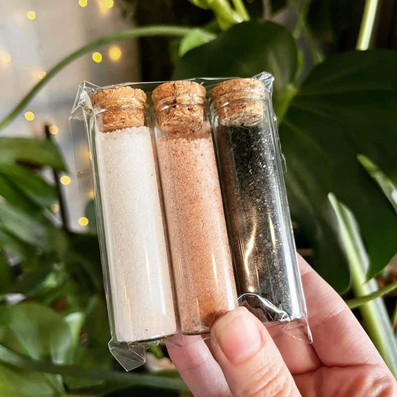 Salt Barriers: Seasoning Your Safety