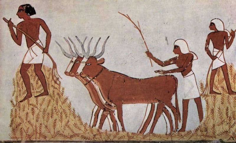 Taurus: The Agricultural Revolution (10,000-8,000 BCE)