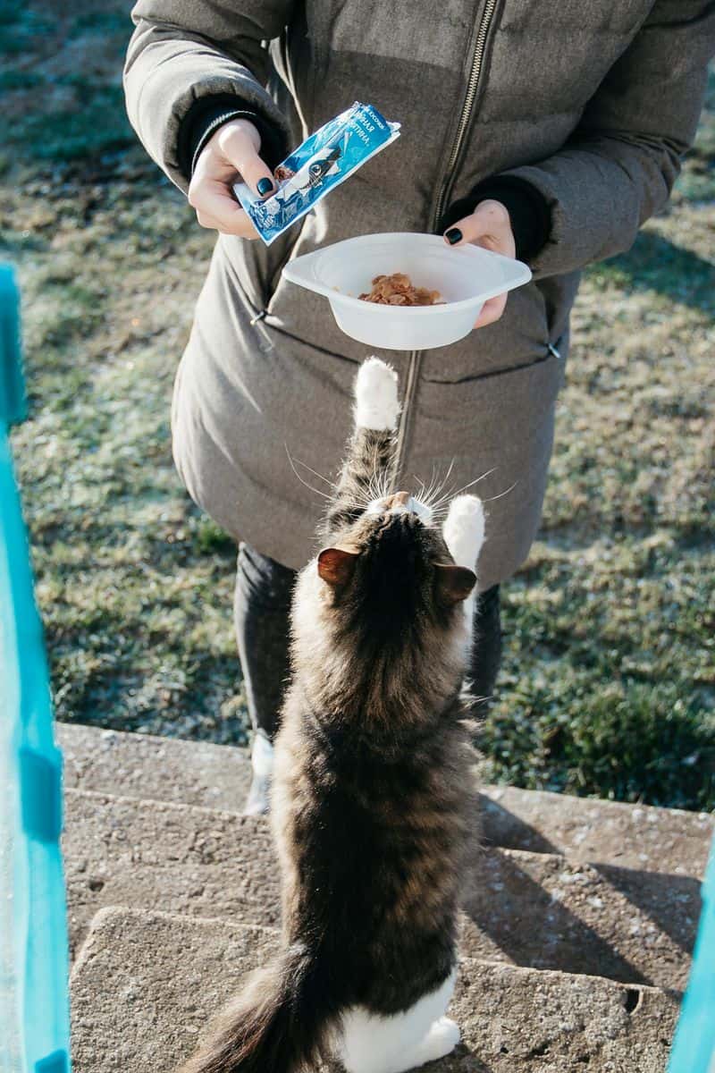 They practice kindness even when nobody's watching