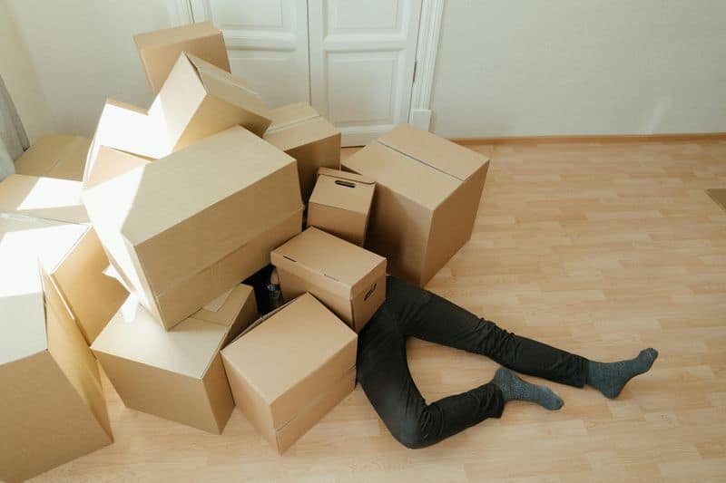 Virgo: Organization System Meltdown