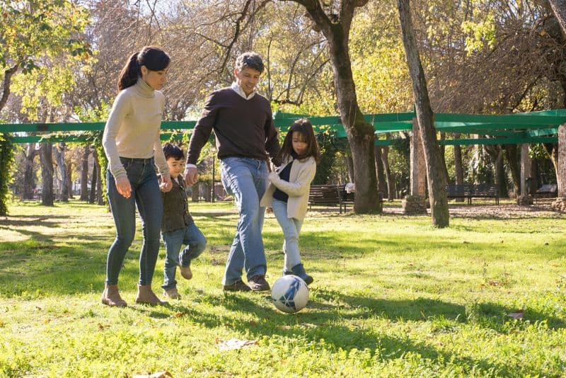 Family Power Dynamics