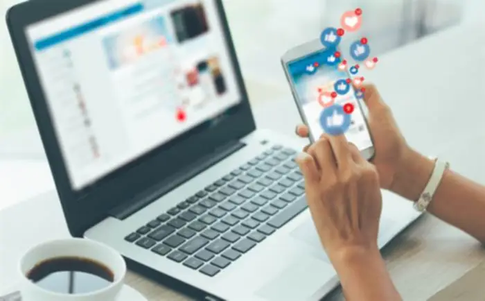 Why you need Website Development Consultants