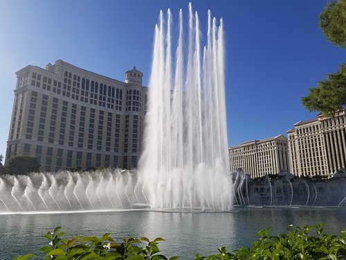 black horse Casino -Bonus