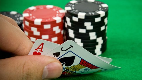 mr cash back casino