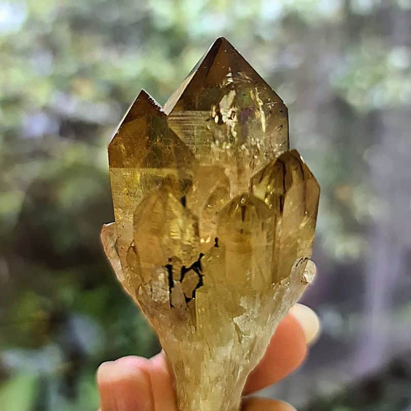 Citrine: The Money Magnet