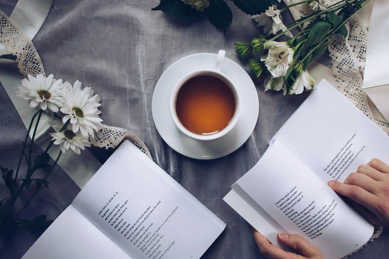 Book Worms With No Shame