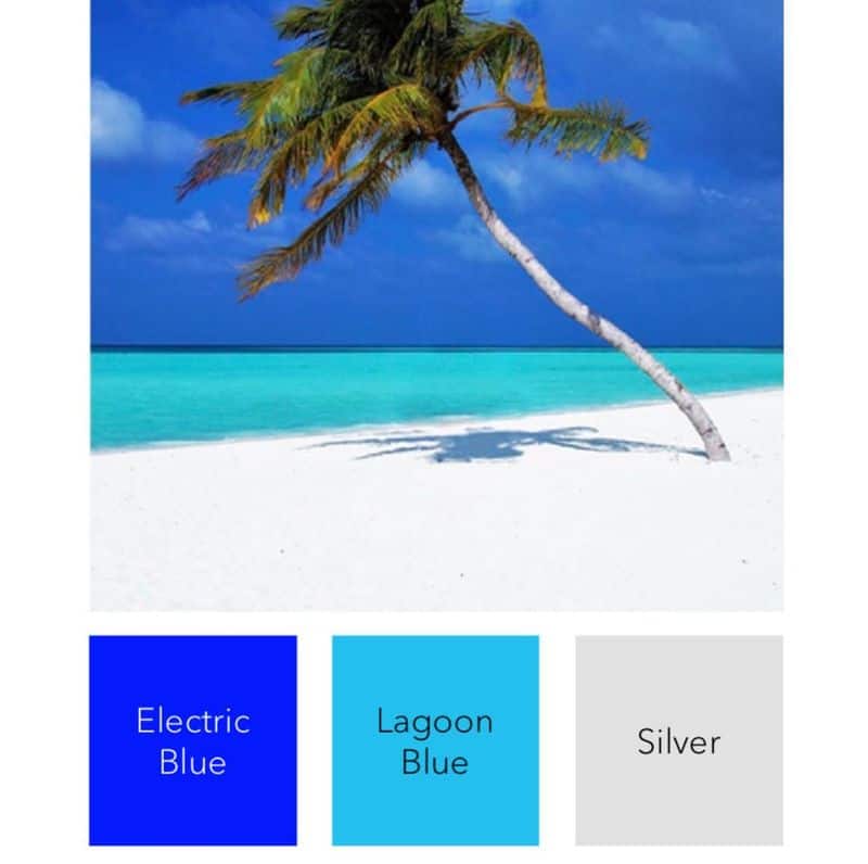 Aquarius: Electric Blue and Innovative Silver