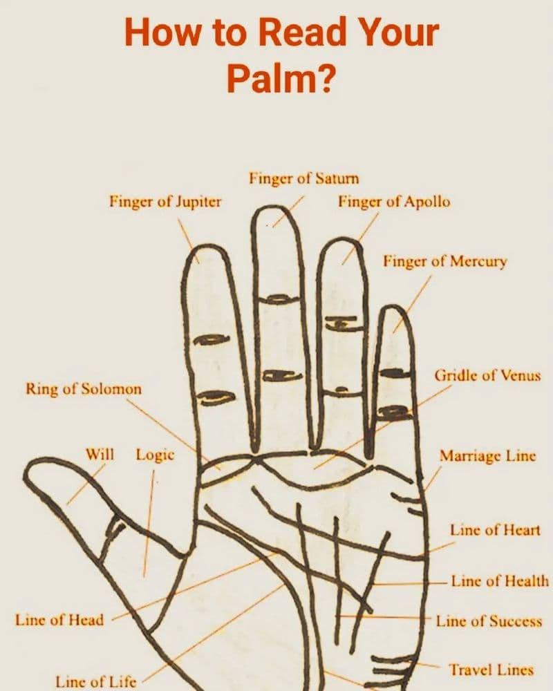 Palm Reading Basics