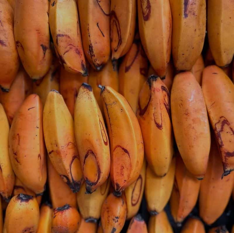 Bananas: Portable Mood Magic