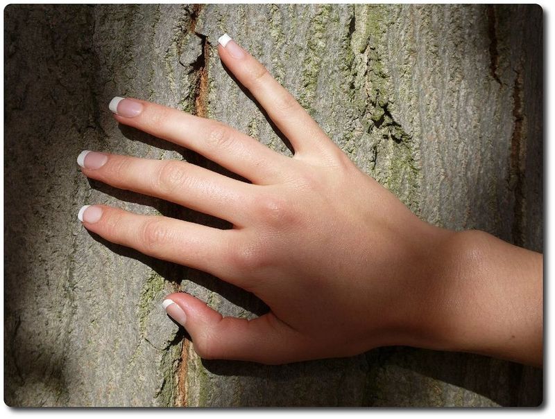 Knocking on Wood