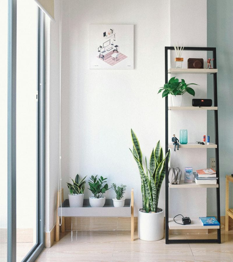 Blocking Natural Light